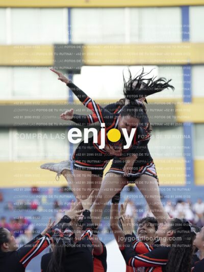 Joy06775