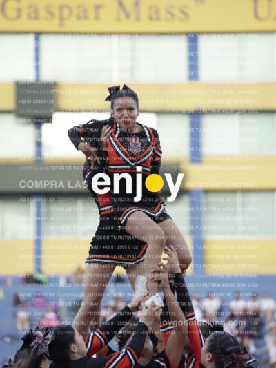 Joy06776