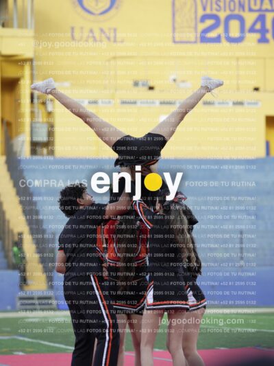 Joy06803