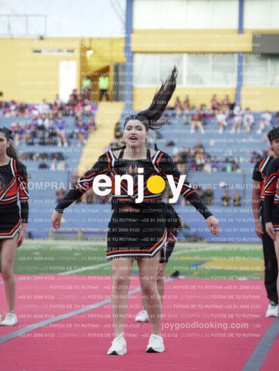 Joy06853
