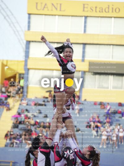 Joy07049
