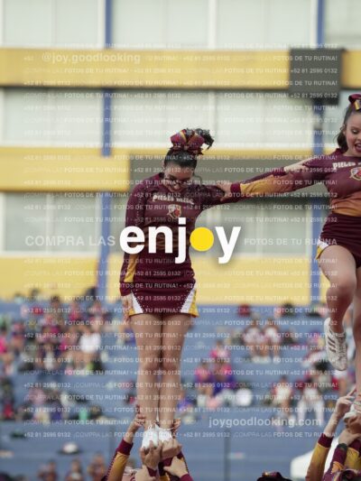 Joy07333