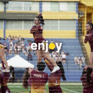 Joy07348