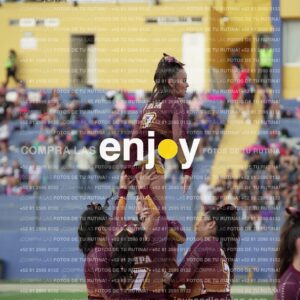 Joy07376