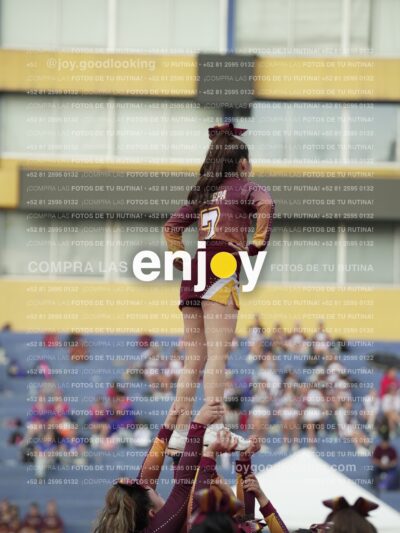 Joy07379