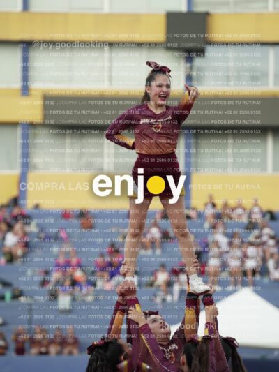 Joy07381