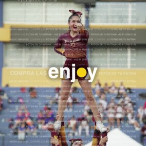 Joy07382