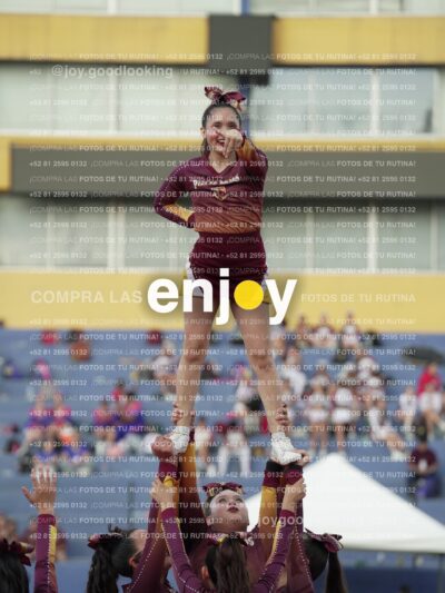 Joy07383