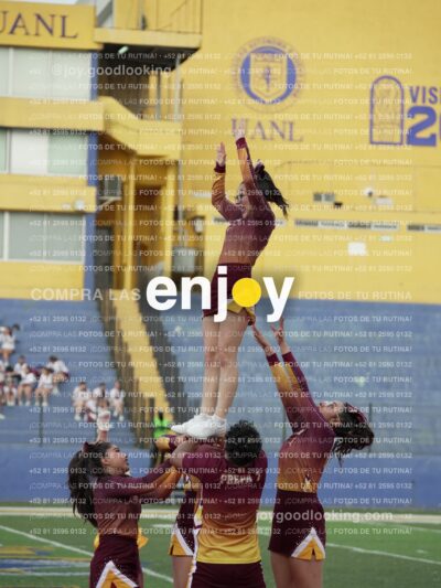 Joy07390