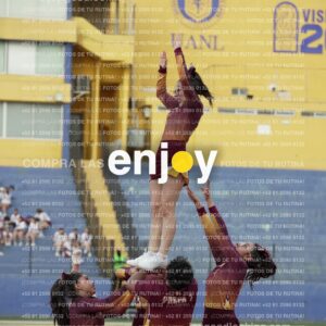 Joy07390