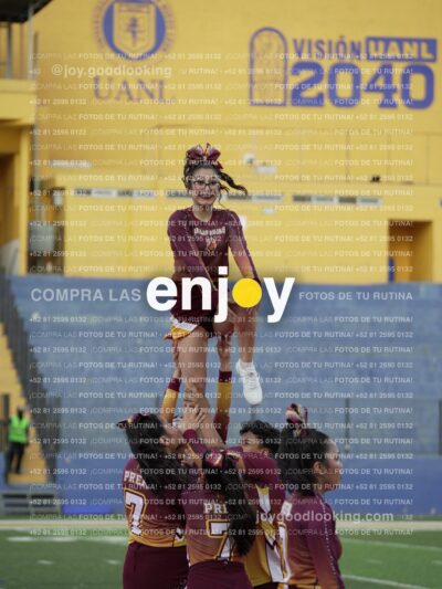 Joy07453