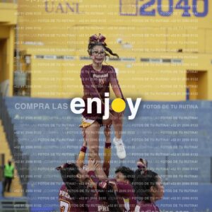 Joy07453
