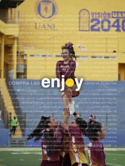 Joy07455