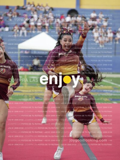 Joy07479