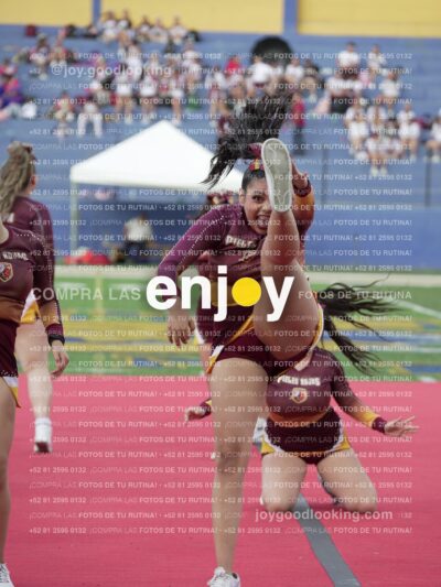 Joy07480