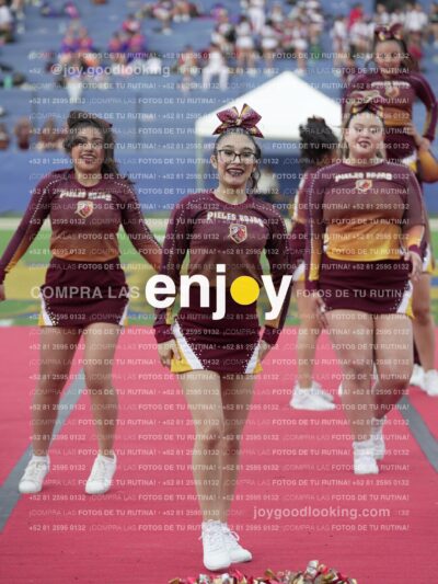 Joy07490