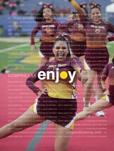 Joy07500