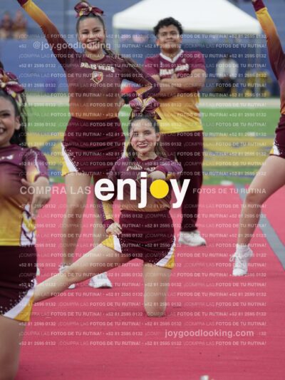 Joy07502