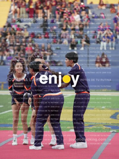 Joy07530