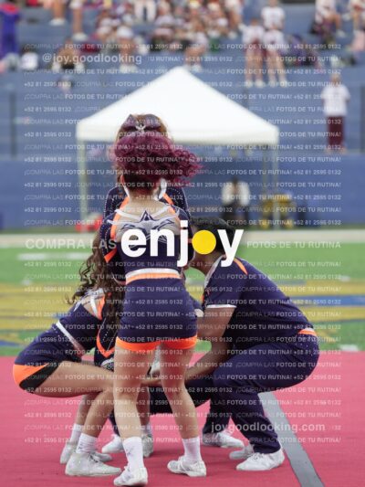 Joy07565
