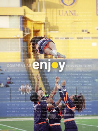 Joy07600
