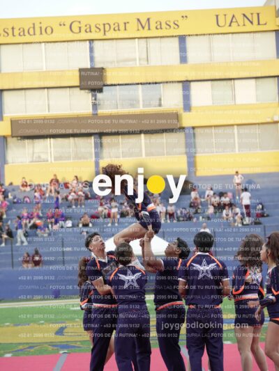 Joy07653