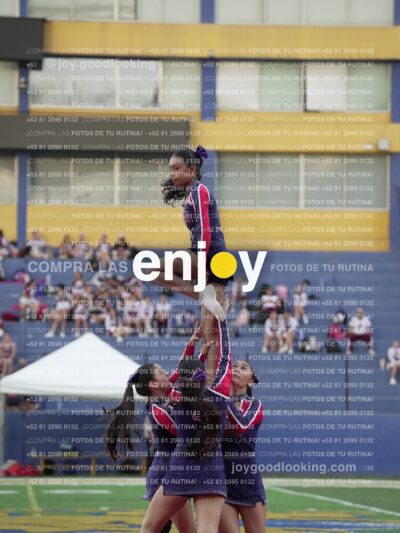 Joy07779