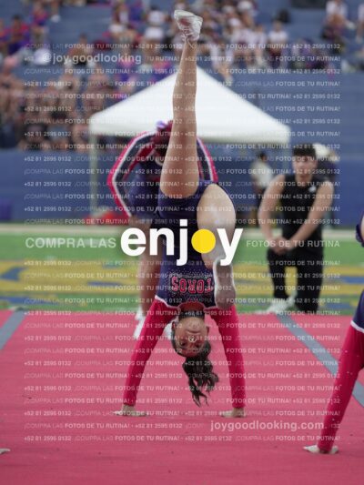 Joy07797