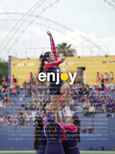 Joy07841