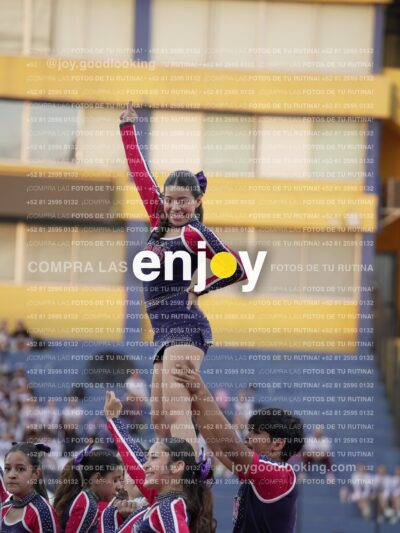 Joy07873