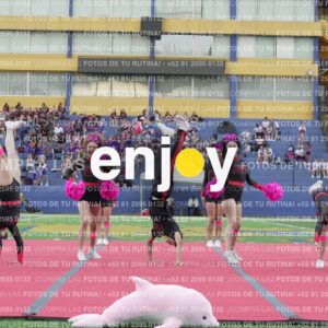 Joy07944