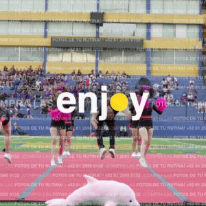 Joy07947