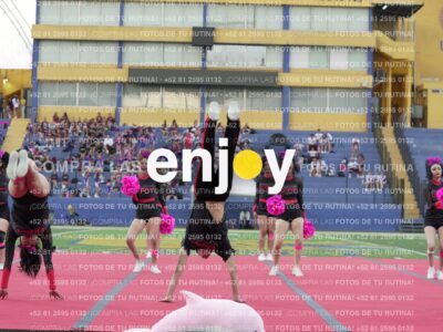 Joy07952