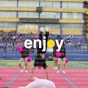 Joy07952