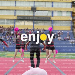 Joy07953