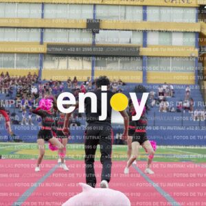Joy07954