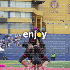 Joy07982