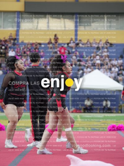 Joy07990