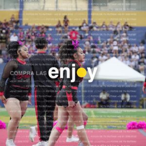 Joy07990