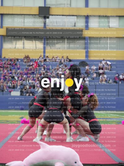 Joy07991
