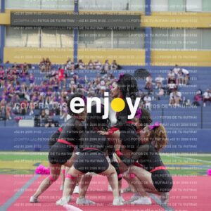 Joy07991