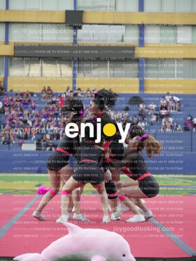 Joy07992