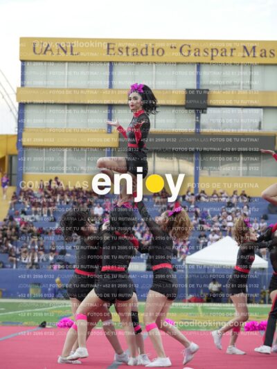 Joy07996