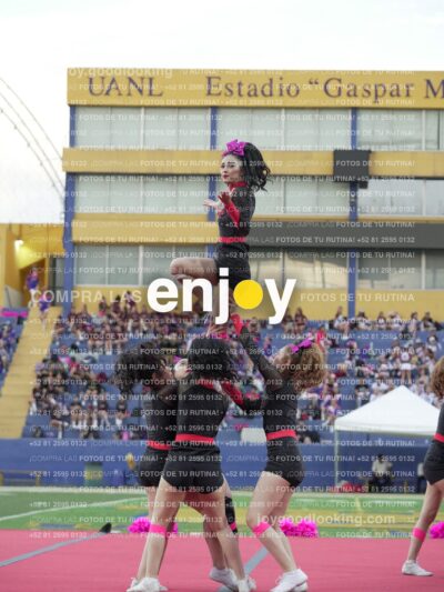 Joy07997