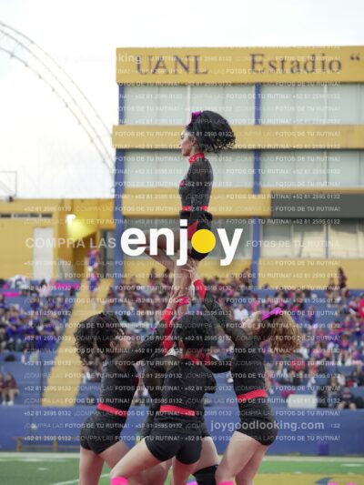 Joy07999