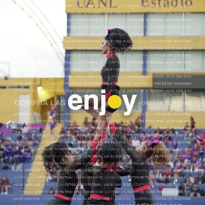 Joy07999