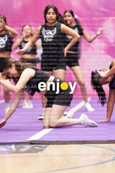 Joy07 Dsc08968