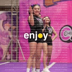 Joy07 Joy06311