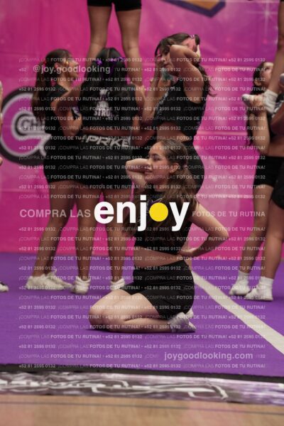 Joy07 Joy06479