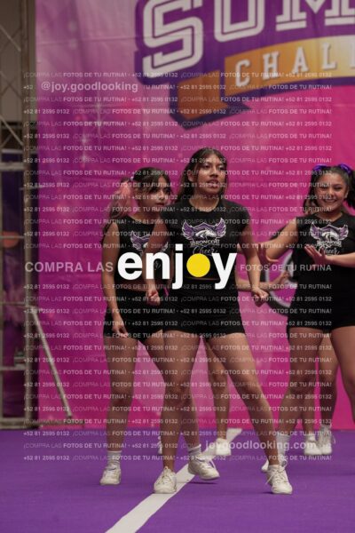 Joy07 Joy06496